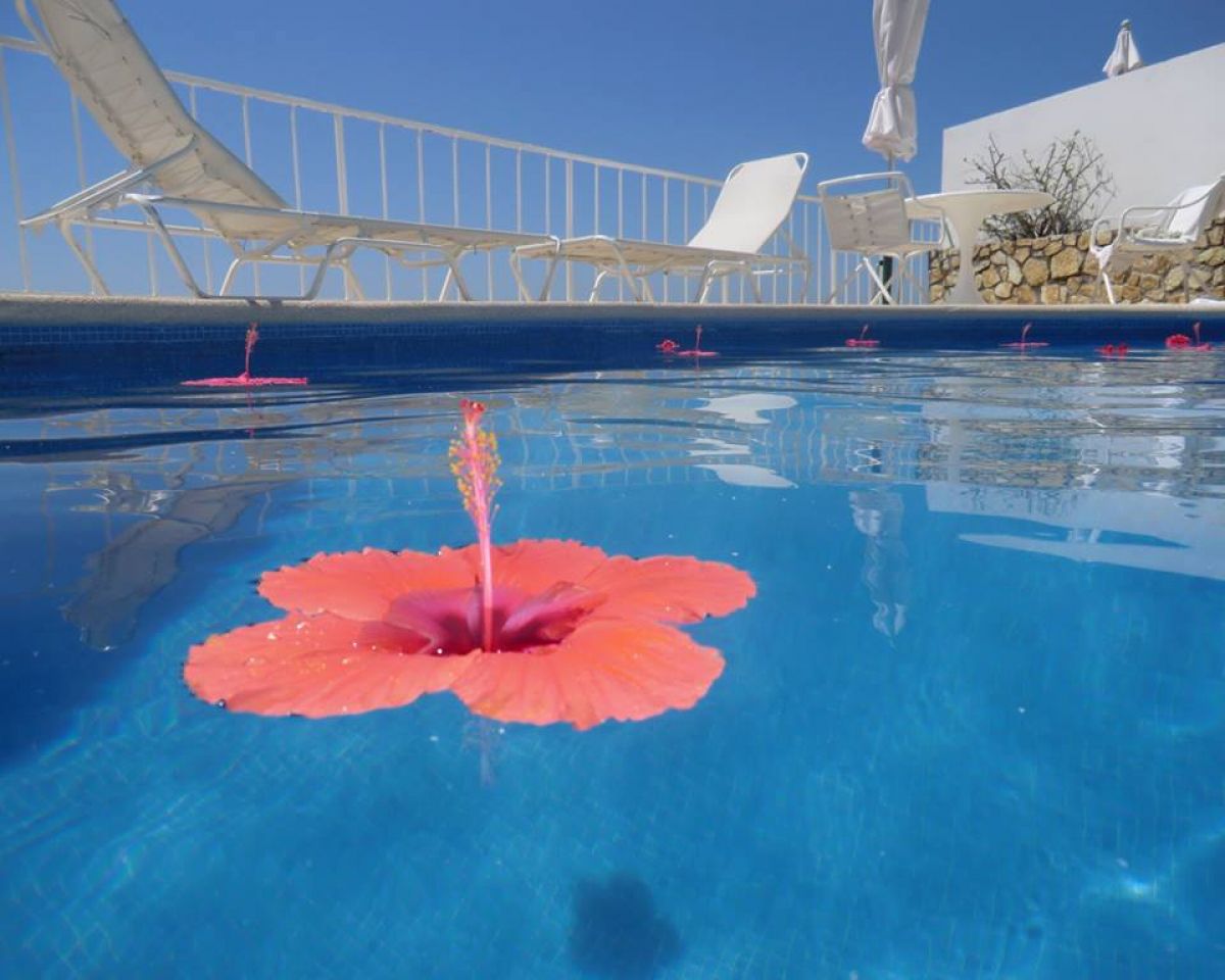 imagini hotel LAS BRISAS